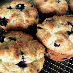 Farmhouse, Gilbert Blueberry Muffins